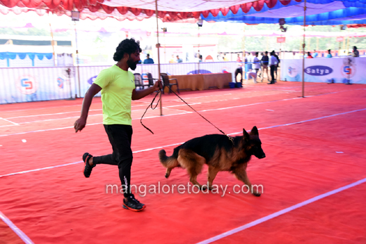 Canine Show
